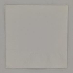 Servilletas 30x30 2 capas blanca (100s)